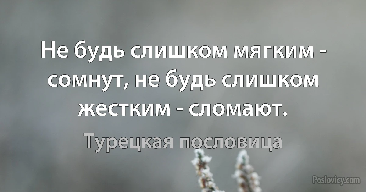 Не будь слишком мягким - сомнут, не будь слишком жестким - сломают. (Турецкая пословица)