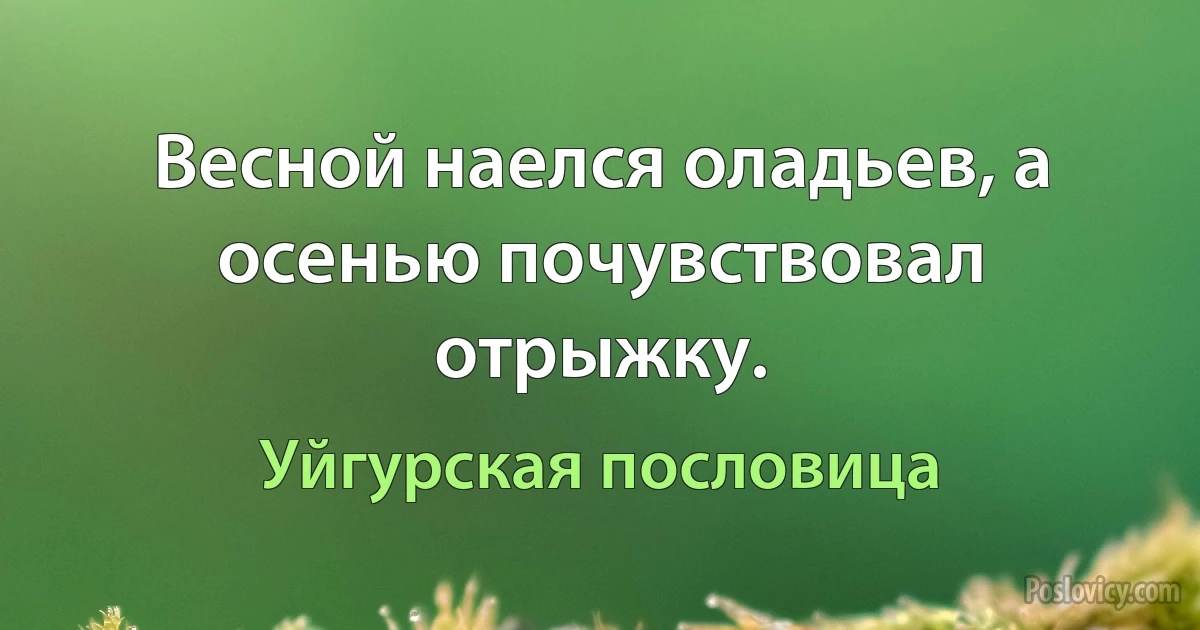 Весной наелся оладьев, а осенью почувствовал отрыжку. (Уйгурская пословица)