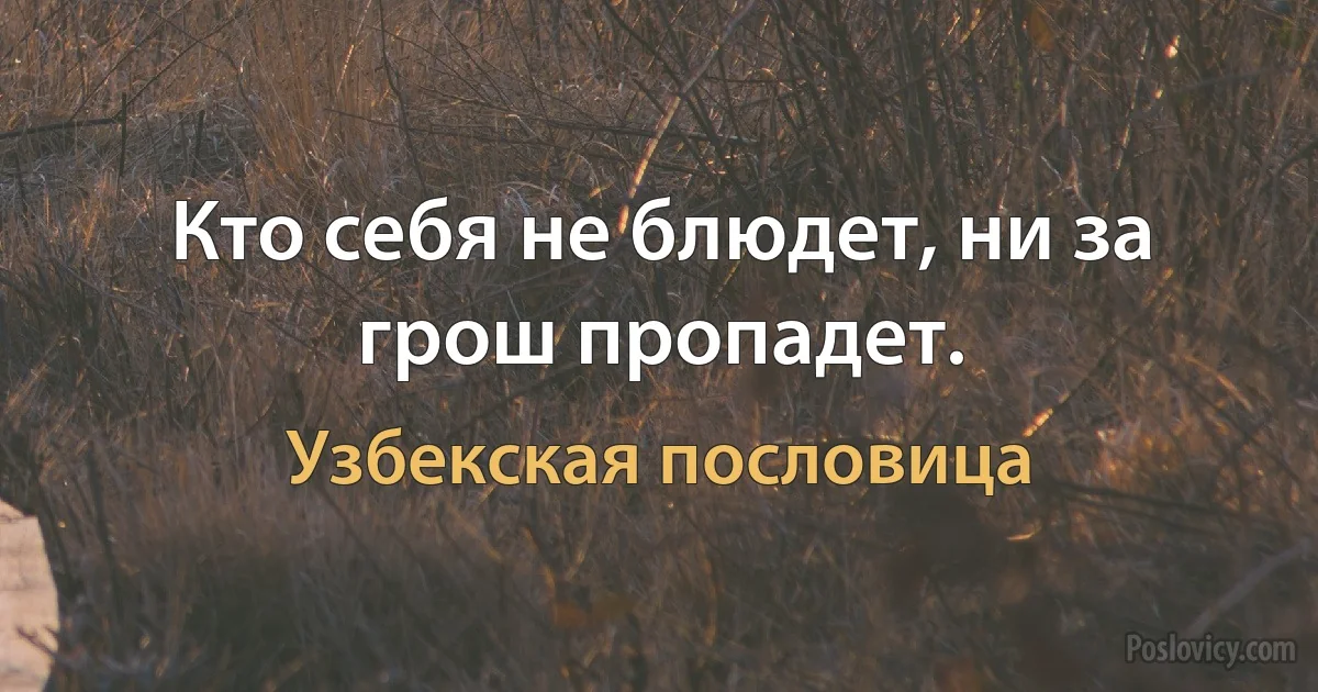 Кто себя не блюдет, ни за грош пропадет. (Узбекская пословица)