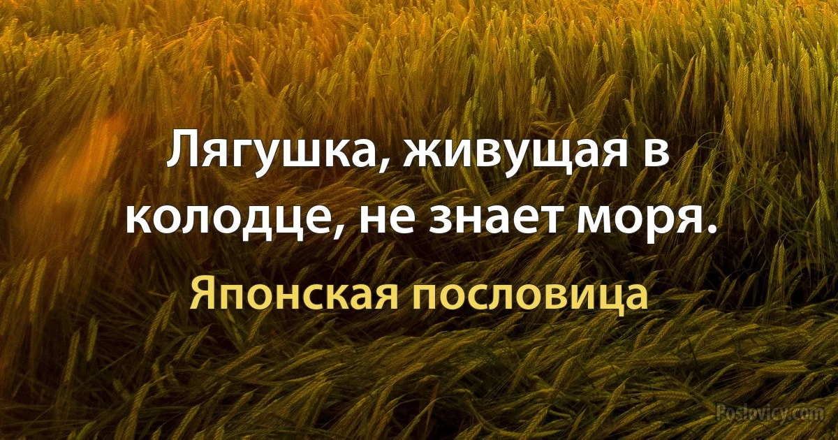 Лягушка, живущая в колодце, не знает моря. (Японская пословица)