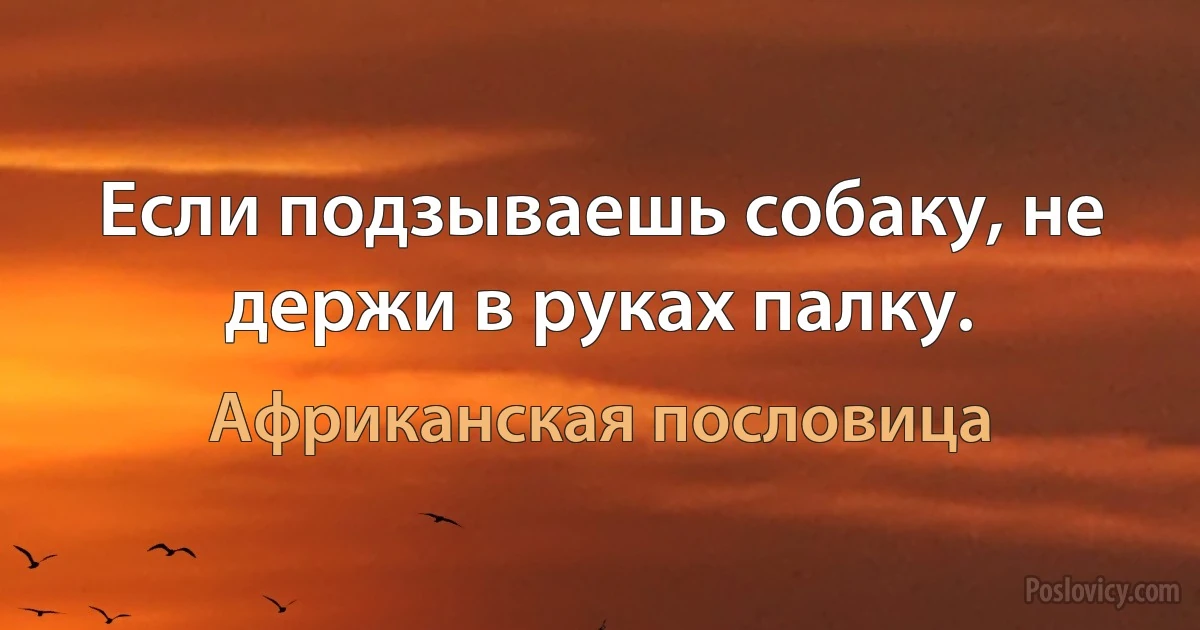 Если подзываешь собаку, не держи в руках палку. (Африканская пословица)