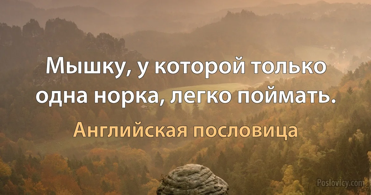 Мышку, у которой только одна норка, легко поймать. (Английская пословица)