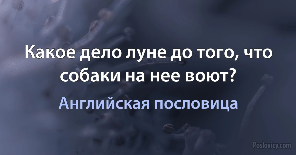 Какое дело луне до того, что собаки на нее воют? (Английская пословица)