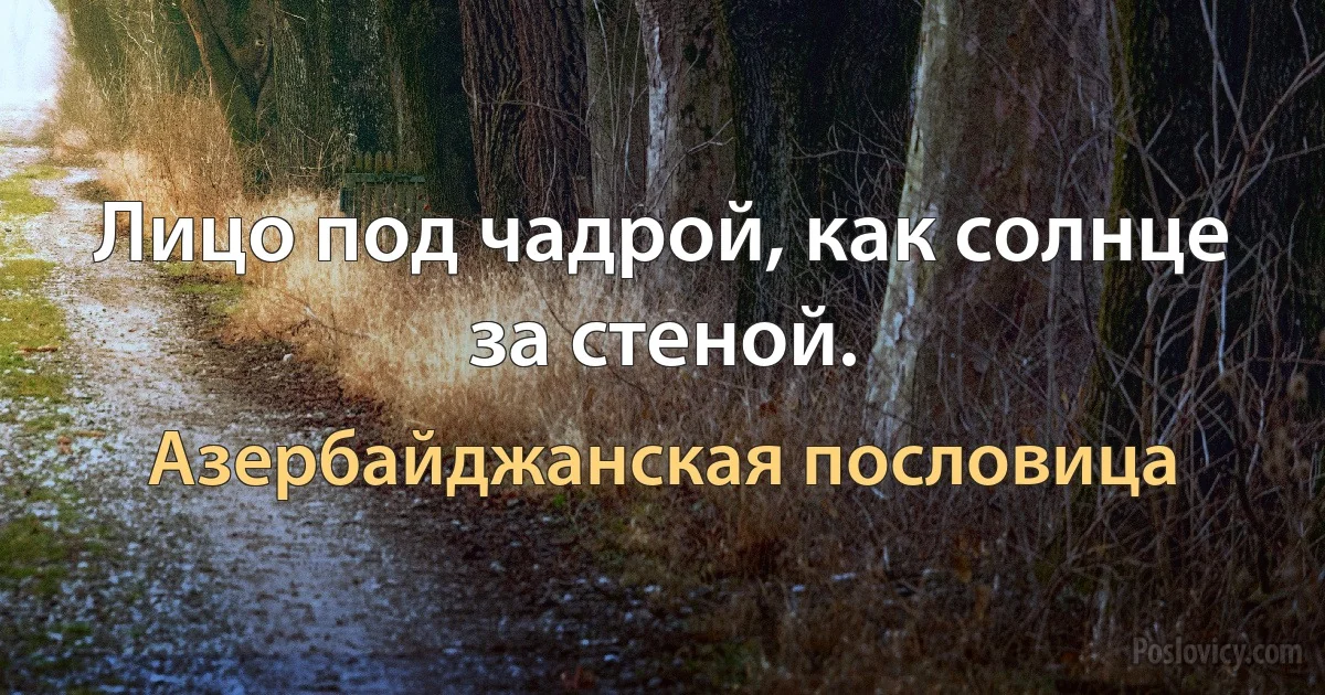 Лицо под чадрой, как солнце за стеной. (Азербайджанская пословица)