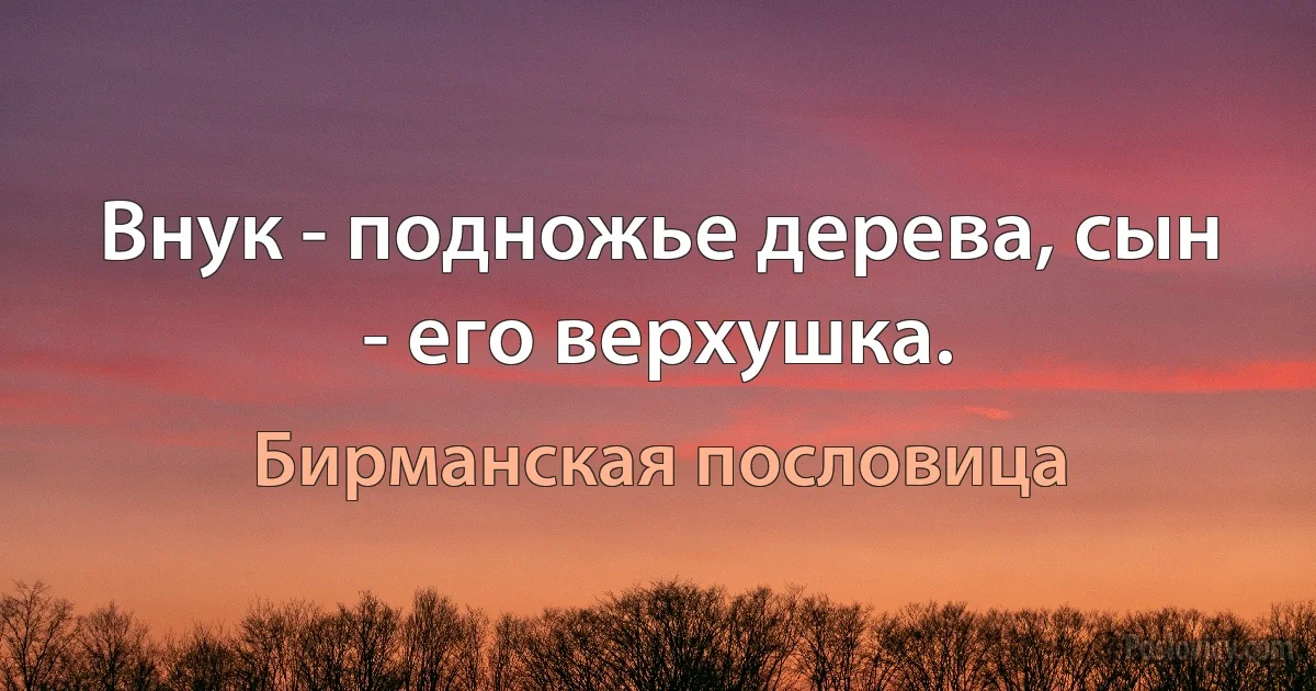 Внук - подножье дерева, сын - его верхушка. (Бирманская пословица)