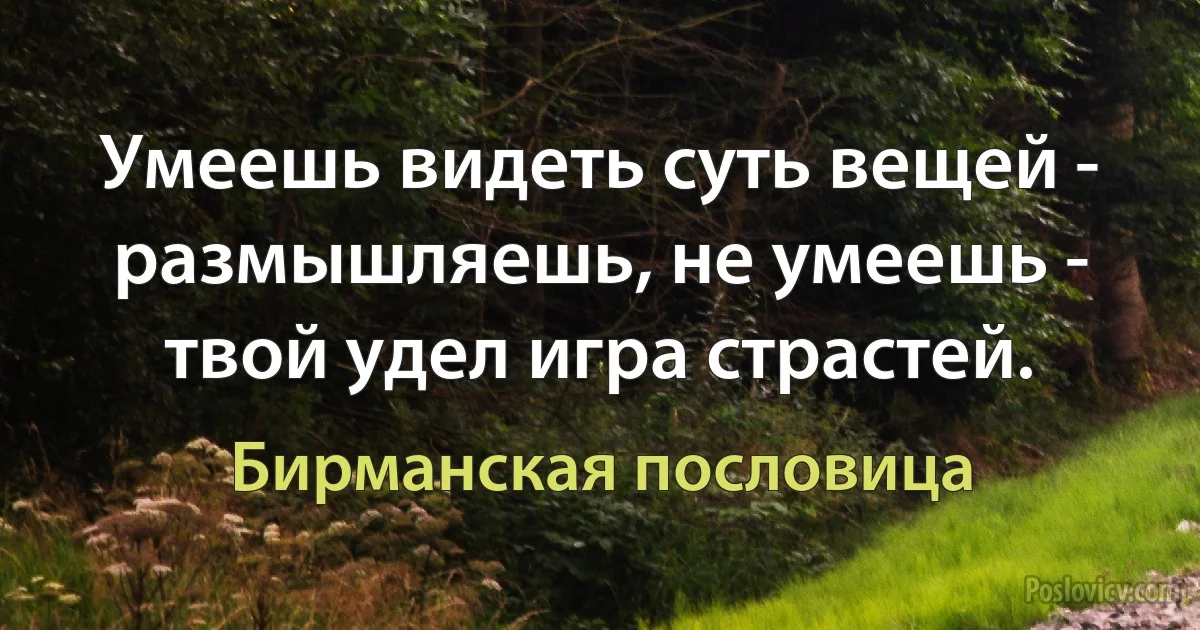 Умеешь видеть суть вещей - размышляешь, не умеешь - твой удел игра страстей. (Бирманская пословица)