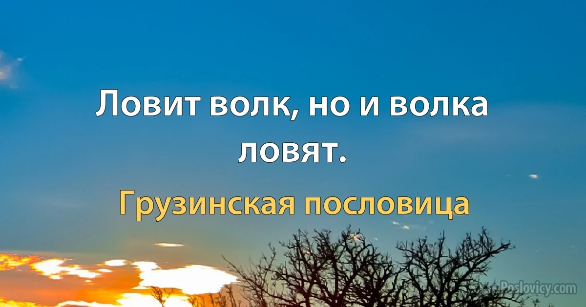 Ловит волк, но и волка ловят. (Грузинская пословица)