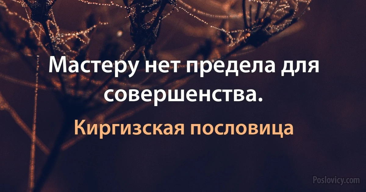 Мастеру нет предела для совершенства. (Киргизская пословица)