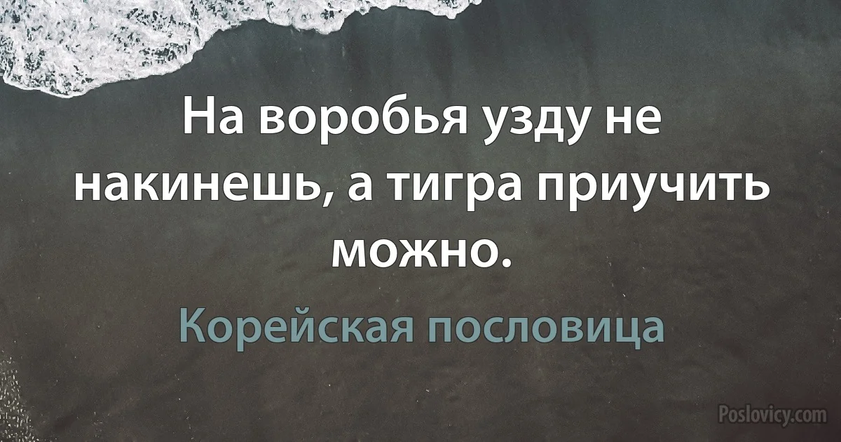 На воробья узду не накинешь, а тигра приучить можно. (Корейская пословица)