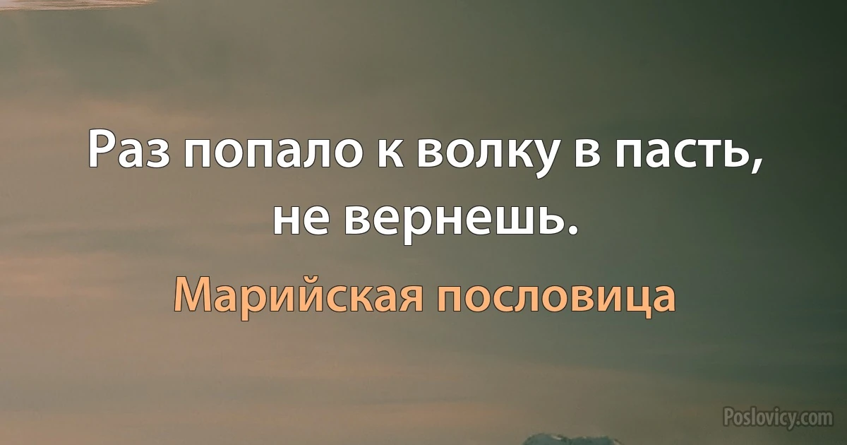 Раз попало к волку в пасть, не вернешь. (Марийская пословица)