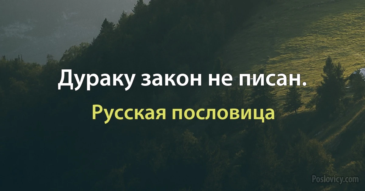 Дураку закон не писан. (Русская пословица)