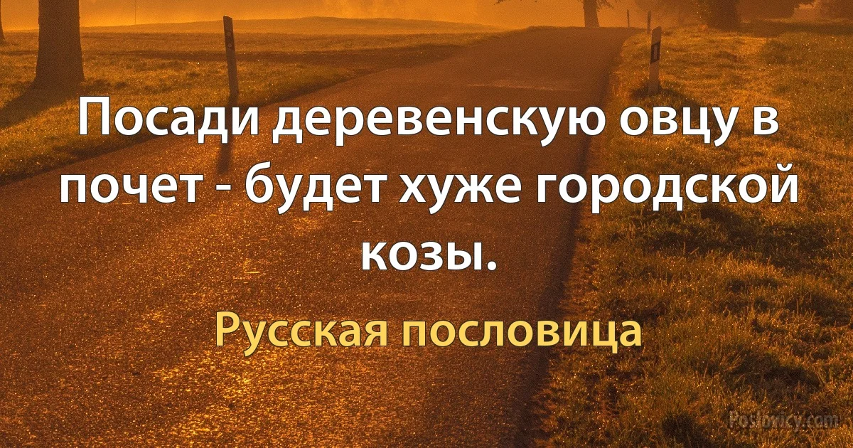 Посади деревенскую овцу в почет - будет хуже городской козы. (Русская пословица)