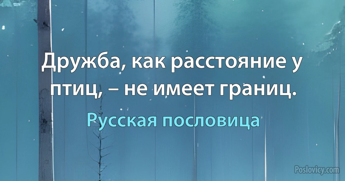 Дружба, как расстояние у птиц, – не имеет границ. (Русская пословица)