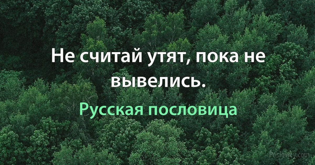 Не считай утят, пока не вывелись. (Русская пословица)