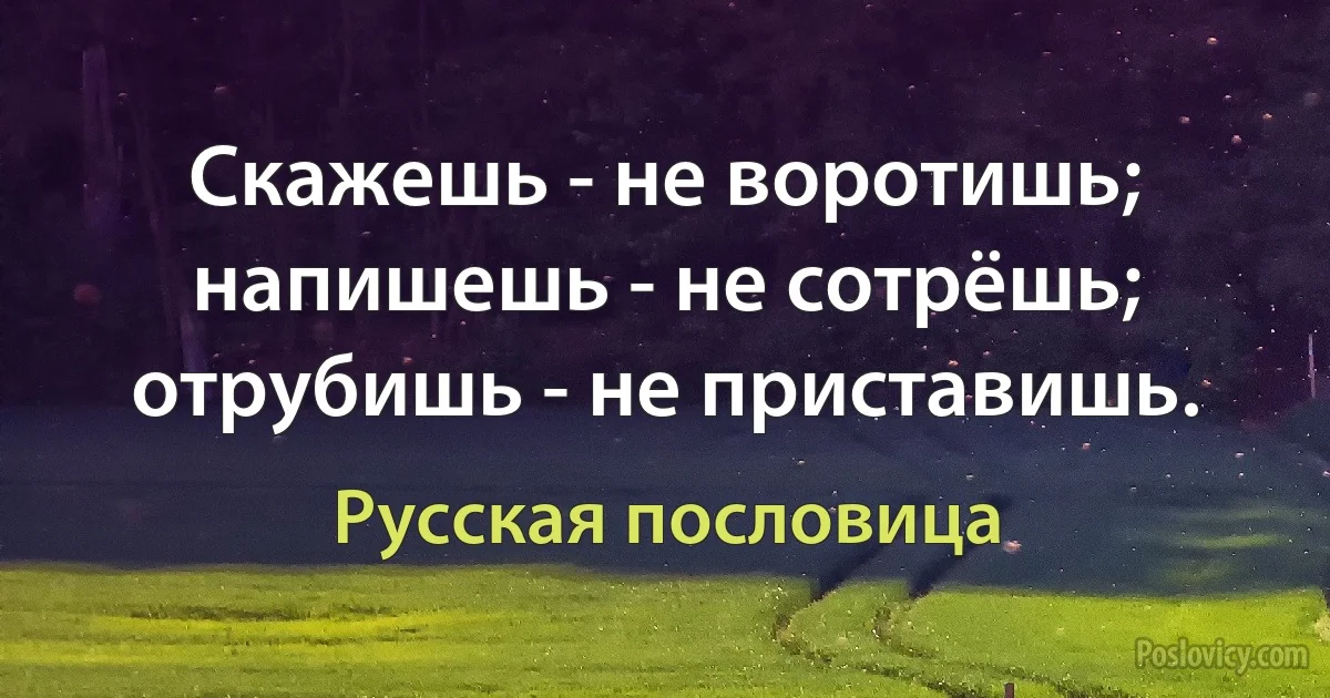 Скажешь - не воротишь; напишешь - не сотрёшь; отрубишь - не приставишь. (Русская пословица)