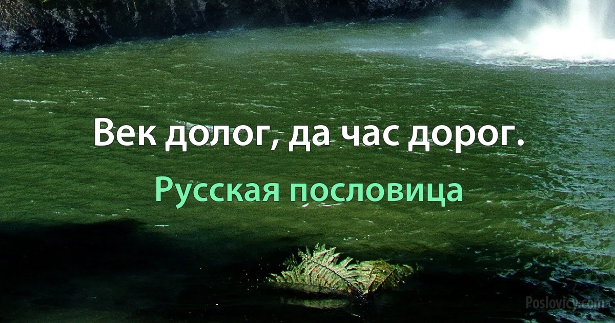 Век долог, да час дорог. (Русская пословица)