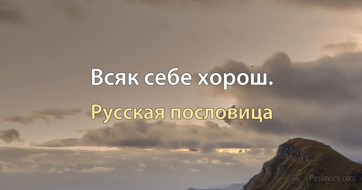 Всяк себе хорош. (Русская пословица)