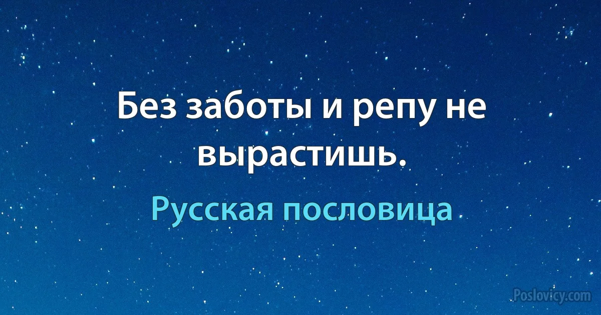 Без заботы и репу не вырастишь. (Русская пословица)