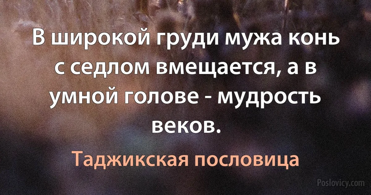 В широкой груди мужа конь с седлом вмещается, а в умной голове - мудрость веков. (Таджикская пословица)