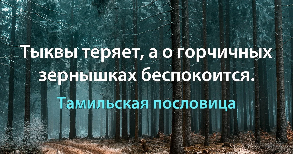 Тыквы теряет, а о горчичных зернышках беспокоится. (Тамильская пословица)