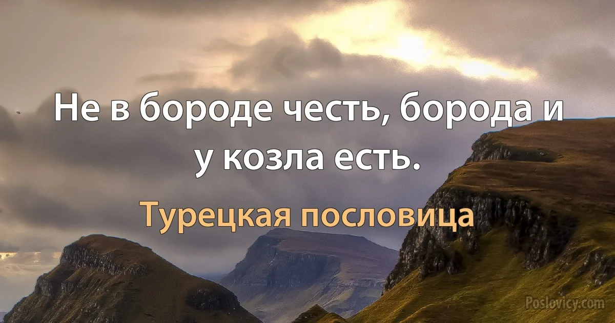 Не в бороде честь, борода и у козла есть. (Турецкая пословица)