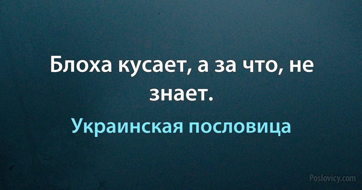 Блоха кусает, а за что, не знает. (Украинская пословица)