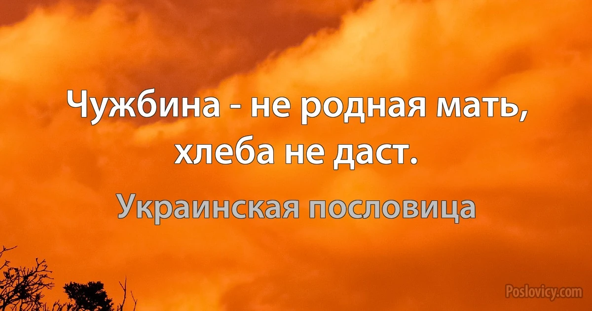 Чужбина - не родная мать, хлеба не даст. (Украинская пословица)