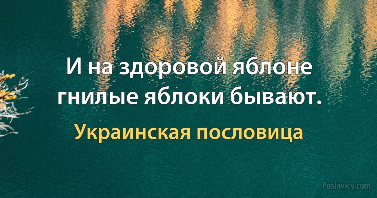 И на здоровой яблоне гнилые яблоки бывают. (Украинская пословица)