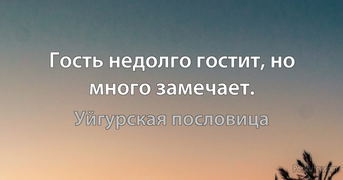 Гость недолго гостит, но много замечает. (Уйгурская пословица)