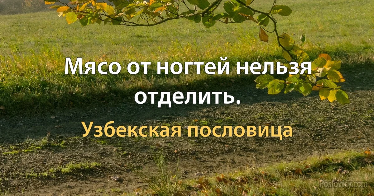 Мясо от ногтей нельзя отделить. (Узбекская пословица)