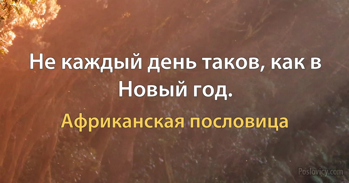 Не каждый день таков, как в Новый год. (Африканская пословица)