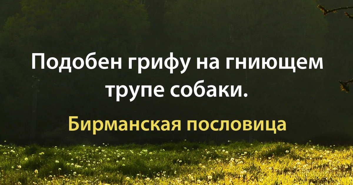 Подобен грифу на гниющем трупе собаки. (Бирманская пословица)