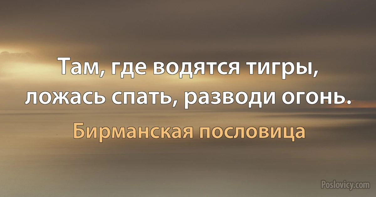 Там, где водятся тигры, ложась спать, разводи огонь. (Бирманская пословица)