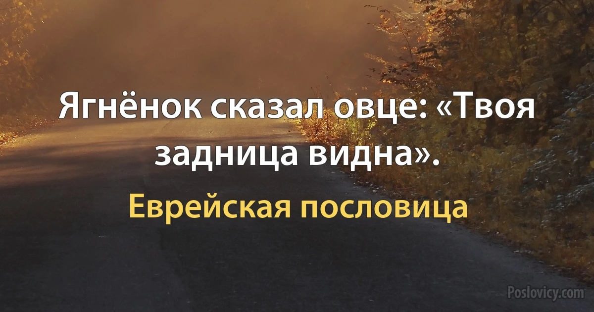 Ягнёнок сказал овце: «Твоя задница видна». (Еврейская пословица)