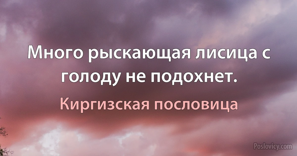 Много рыскающая лисица с голоду не подохнет. (Киргизская пословица)