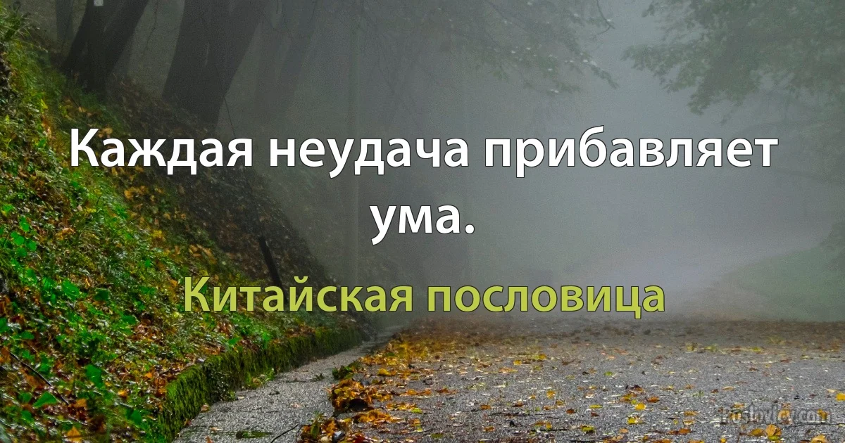 Каждая неудача прибавляет ума. (Китайская пословица)