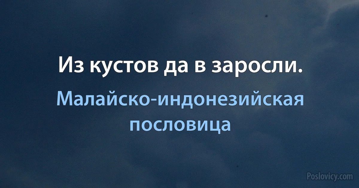 Из кустов да в заросли. (Малайско-индонезийская пословица)