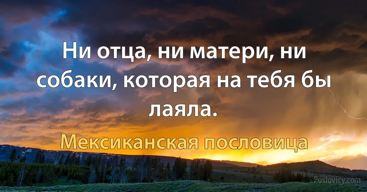 Ни отца, ни матери, ни собаки, которая на тебя бы лаяла. (Мексиканская пословица)