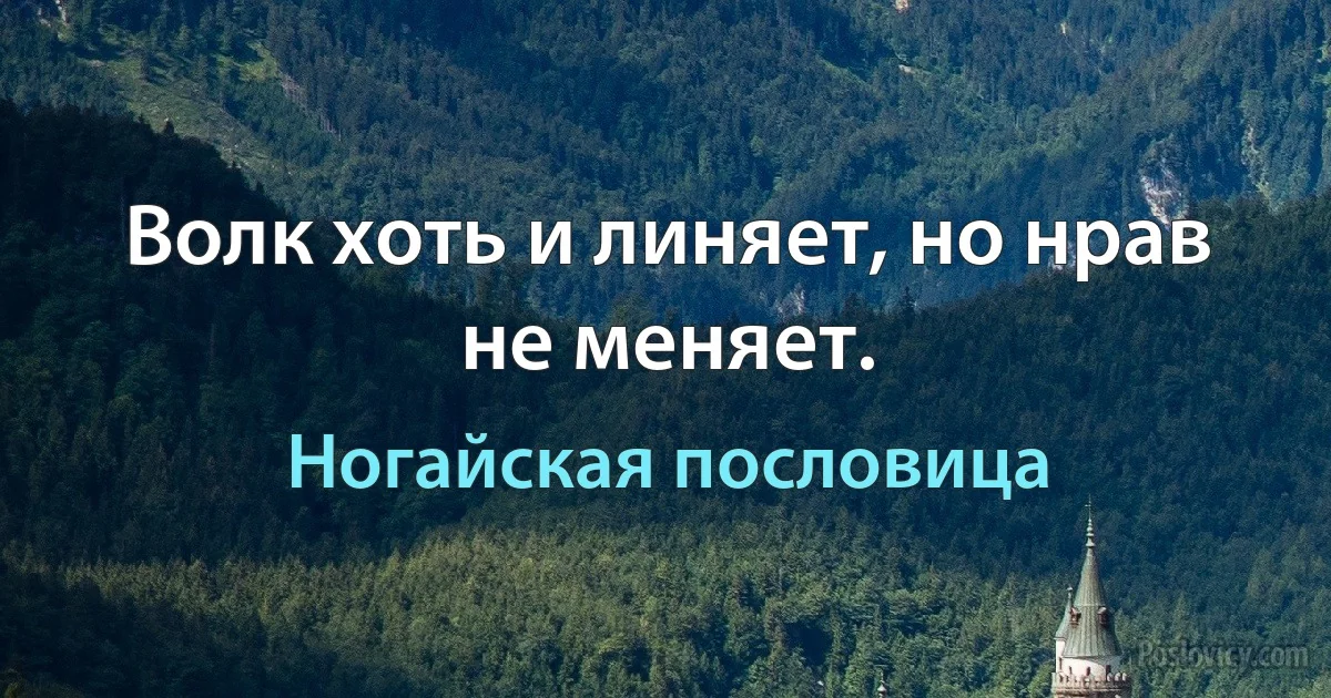 Волк хоть и линяет, но нрав не меняет. (Ногайская пословица)