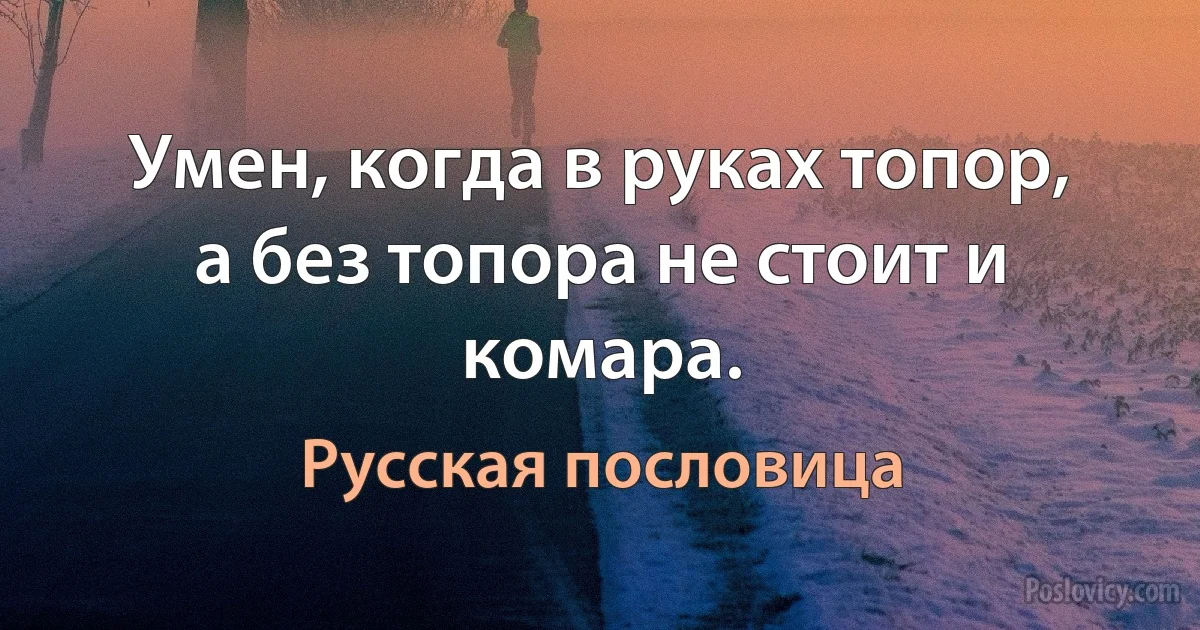 Умен, когда в руках топор, а без топора не стоит и комара. (Русская пословица)