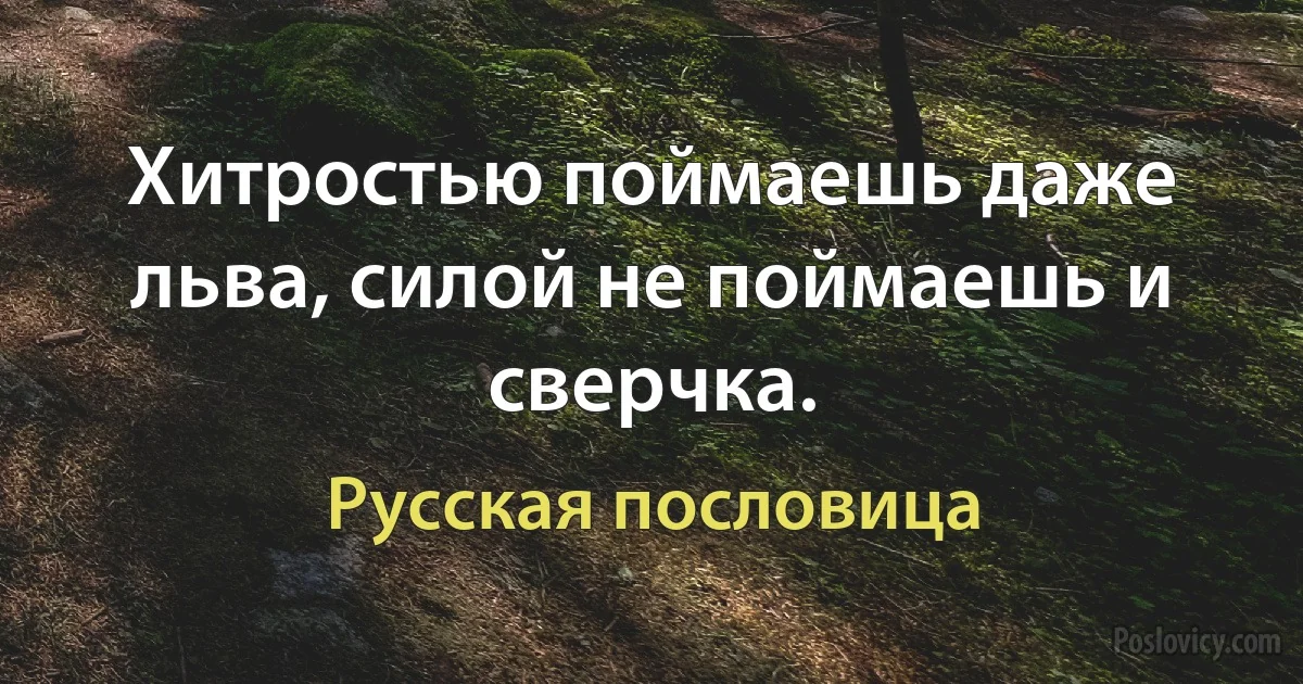 Хитростью поймаешь даже льва, силой не поймаешь и сверчка. (Русская пословица)