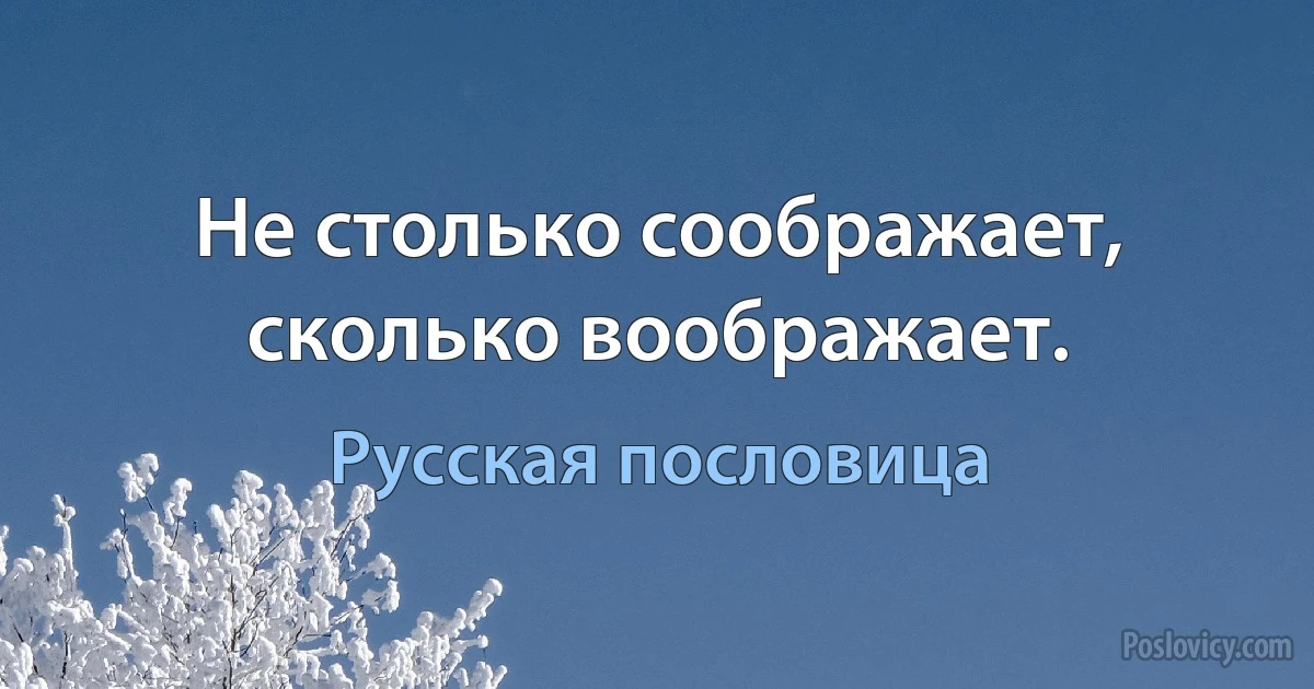 Не столько соображает, сколько воображает. (Русская пословица)