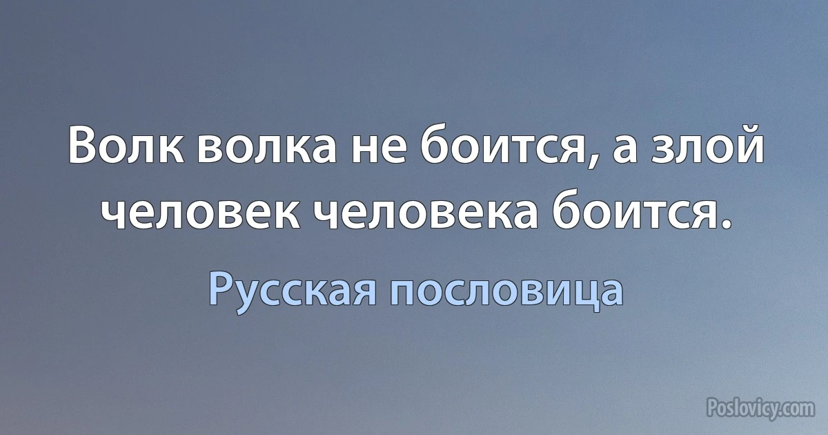 Волк волка не боится, а злой человек человека боится. (Русская пословица)