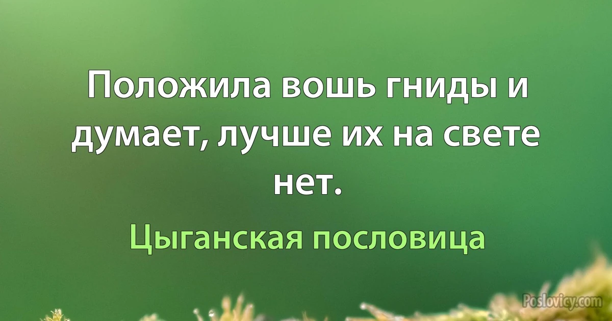 Положила вошь гниды и думает, лучше их на свете нет. (Цыганская пословица)