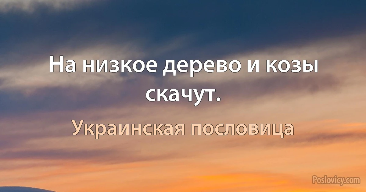 На низкое дерево и козы скачут. (Украинская пословица)