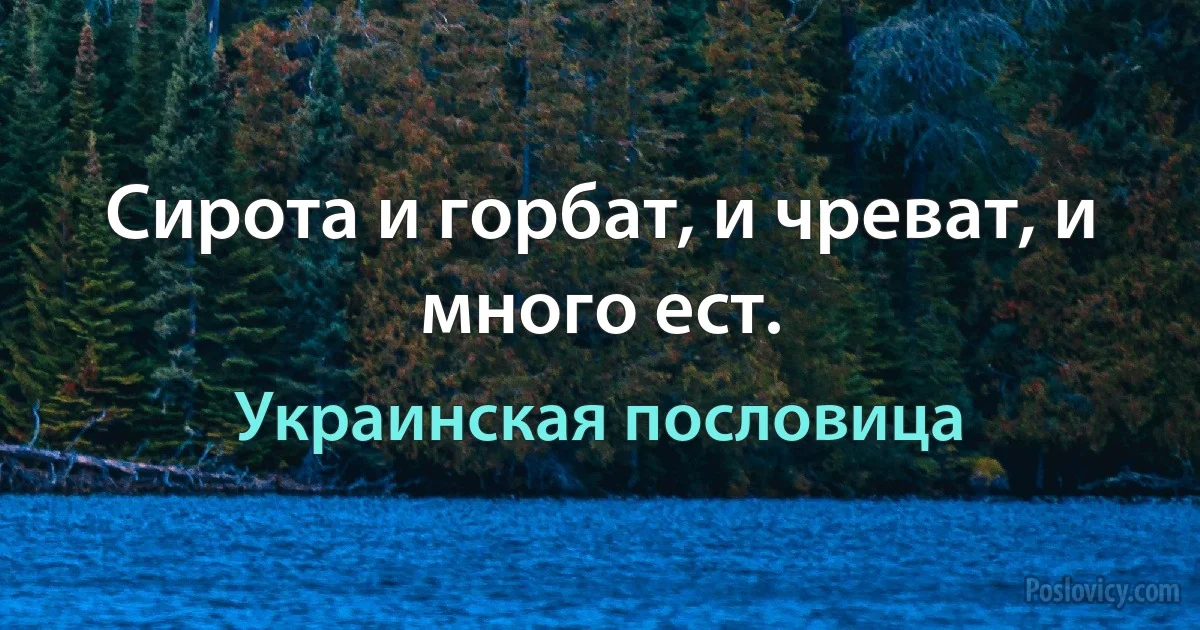 Сирота и горбат, и чреват, и много ест. (Украинская пословица)