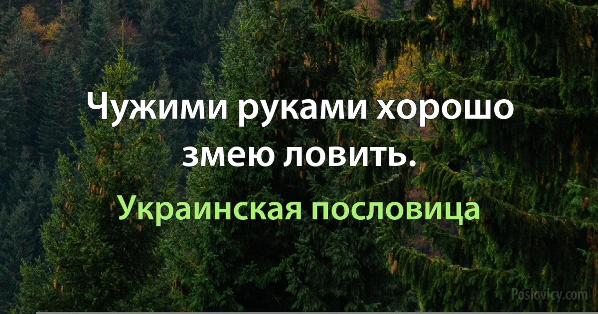 Чужими руками хорошо змею ловить. (Украинская пословица)