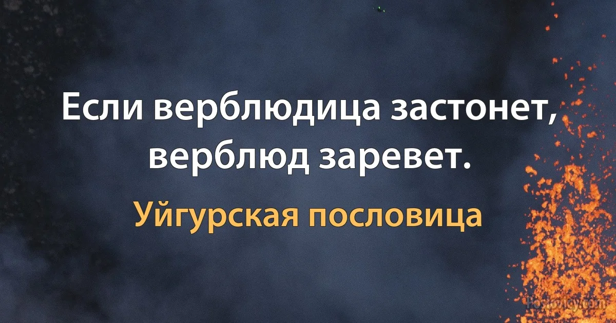 Если верблюдица застонет, верблюд заревет. (Уйгурская пословица)