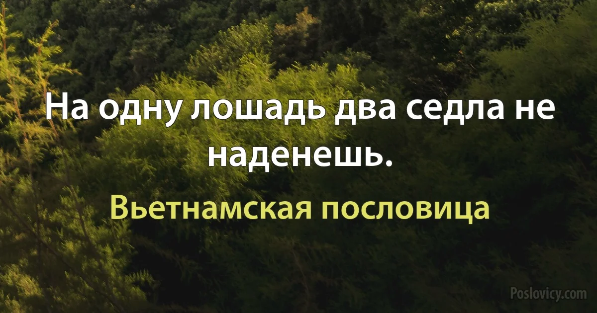 На одну лошадь два седла не наденешь. (Вьетнамская пословица)