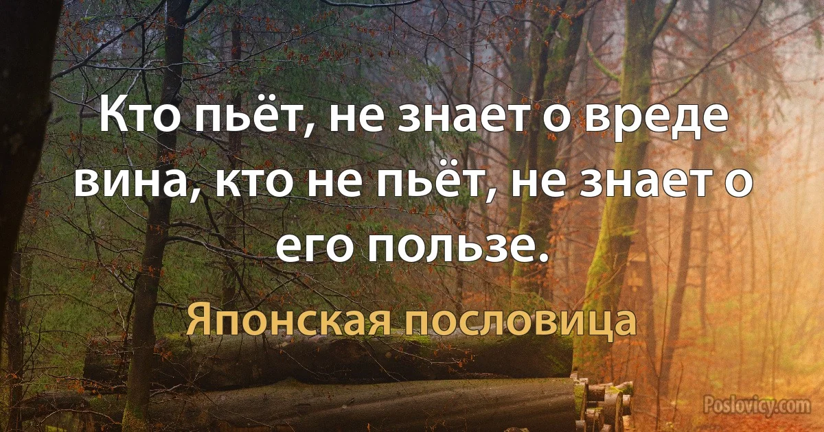 Кто пьёт, не знает о вреде вина, кто не пьёт, не знает о его пользе. (Японская пословица)